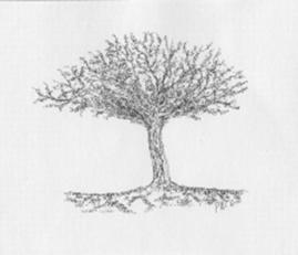 tntrees2.jpg